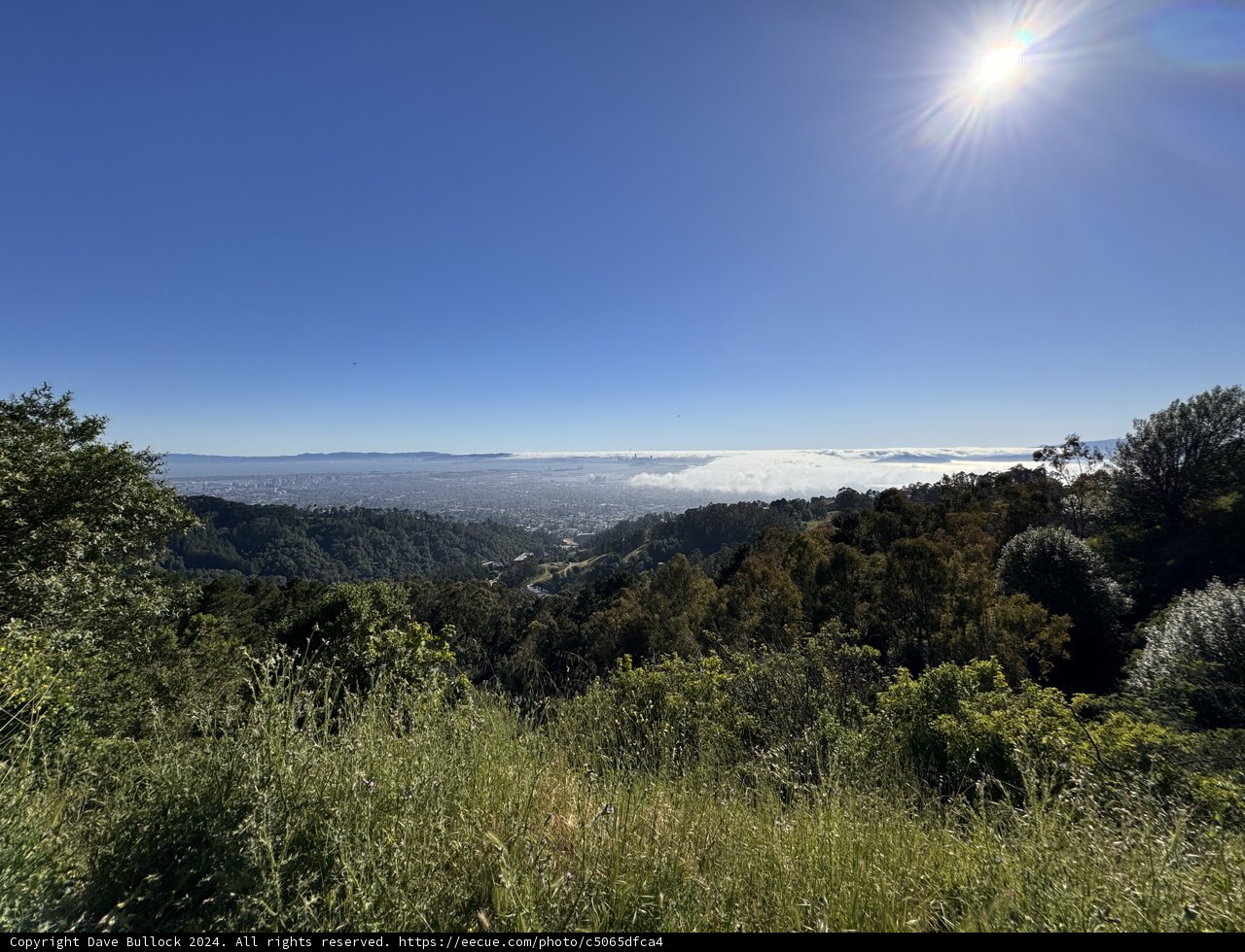 Golden Morning Over Berkeley: A Vista of Serenity