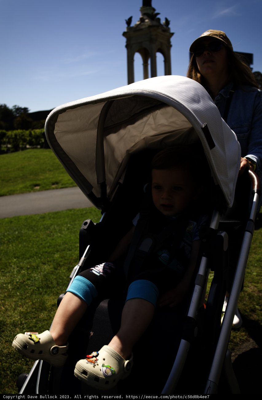 A Sunny Day Stroll in Golden Gate Park, 2023