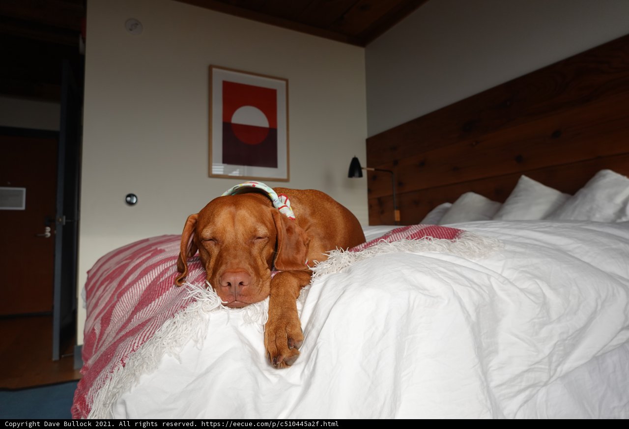 Restful Retriever