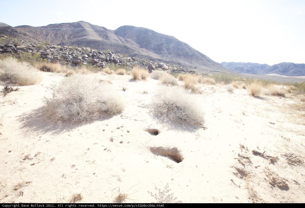 Majestic Desert Landscape