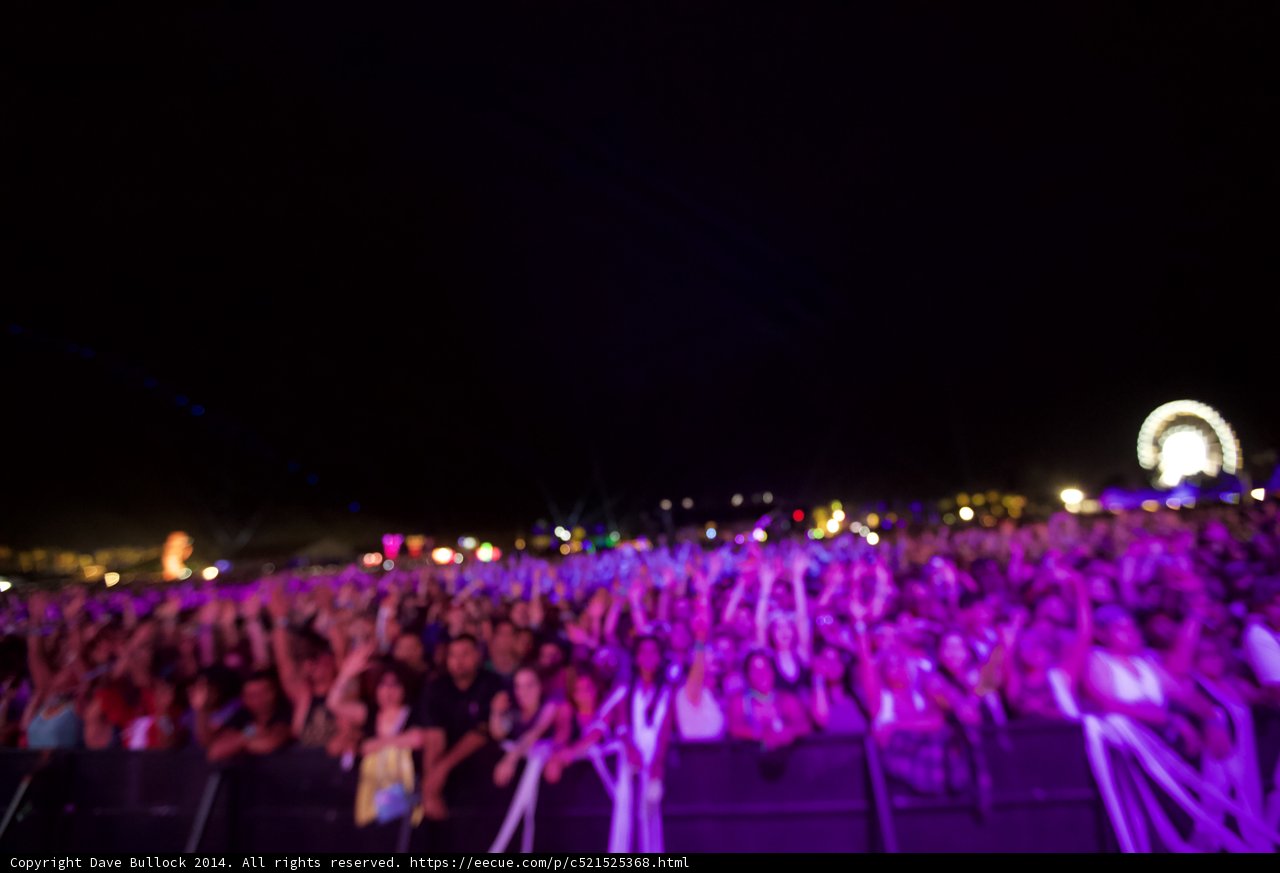 Purple Haze at Coachella