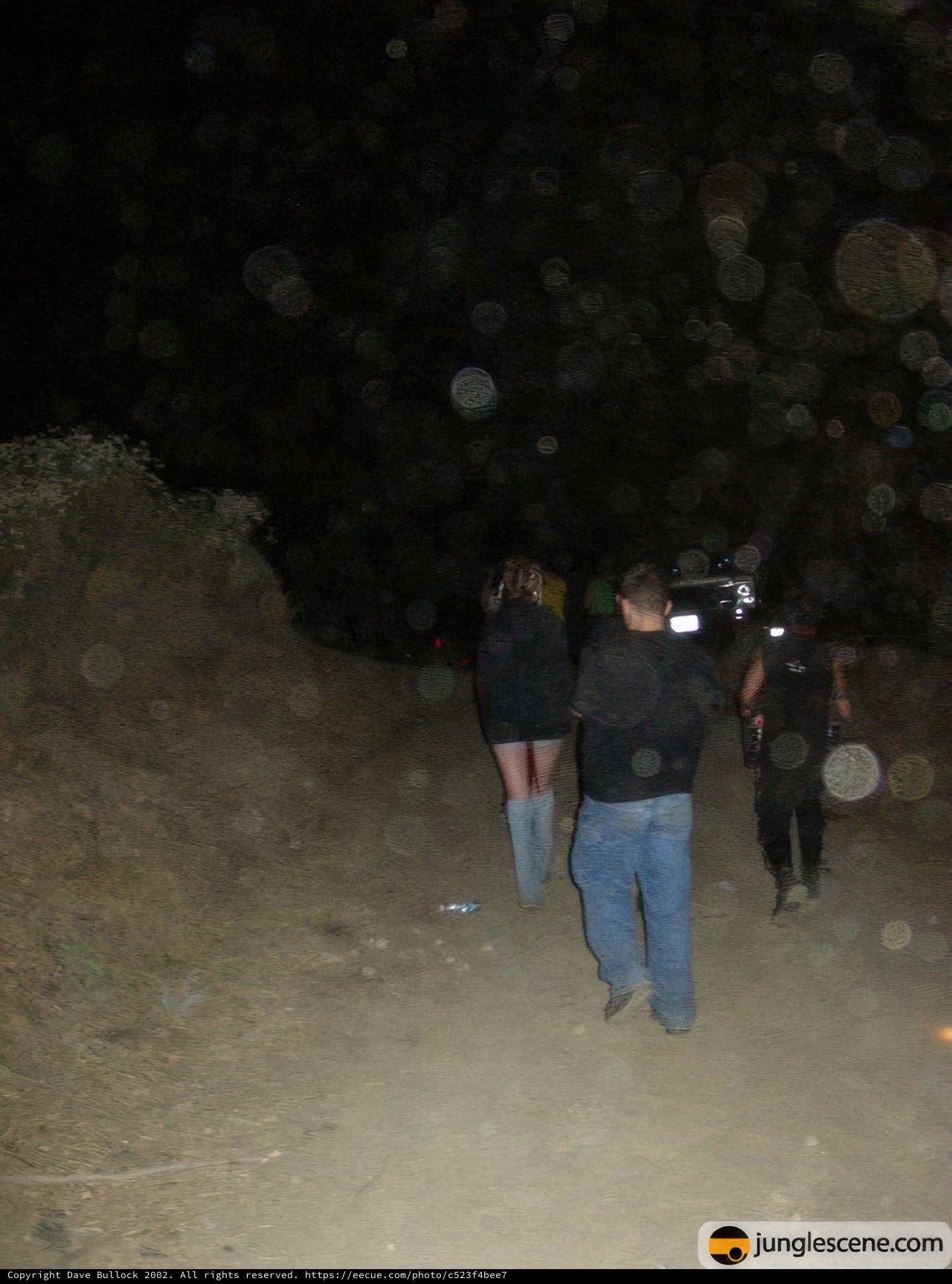 Midnight Stroll