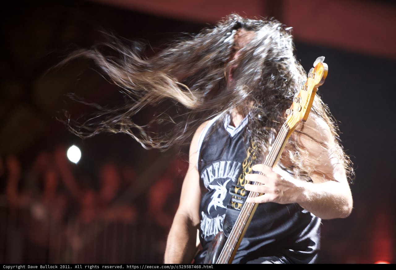 Bassist Jamming Out at Big Four Festival