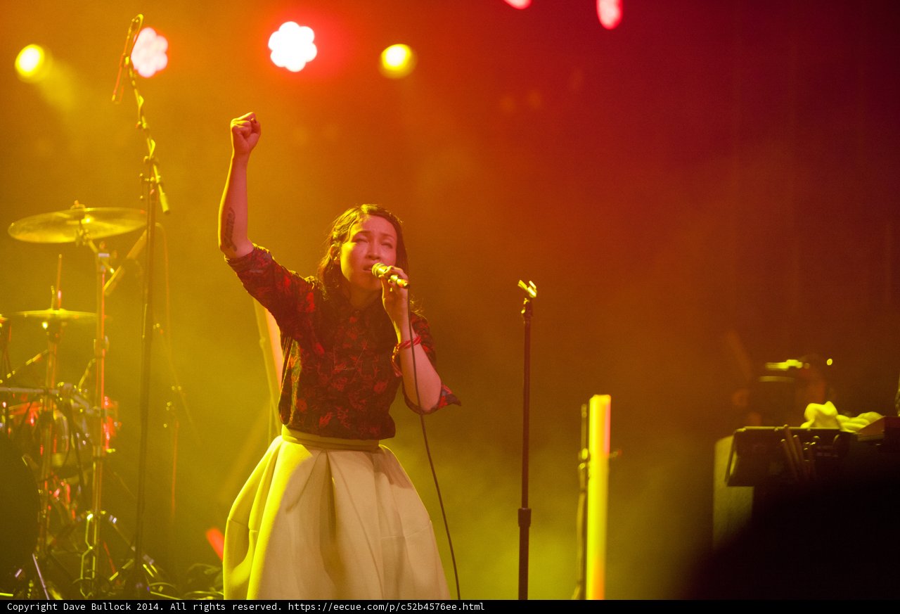 Little Dragon