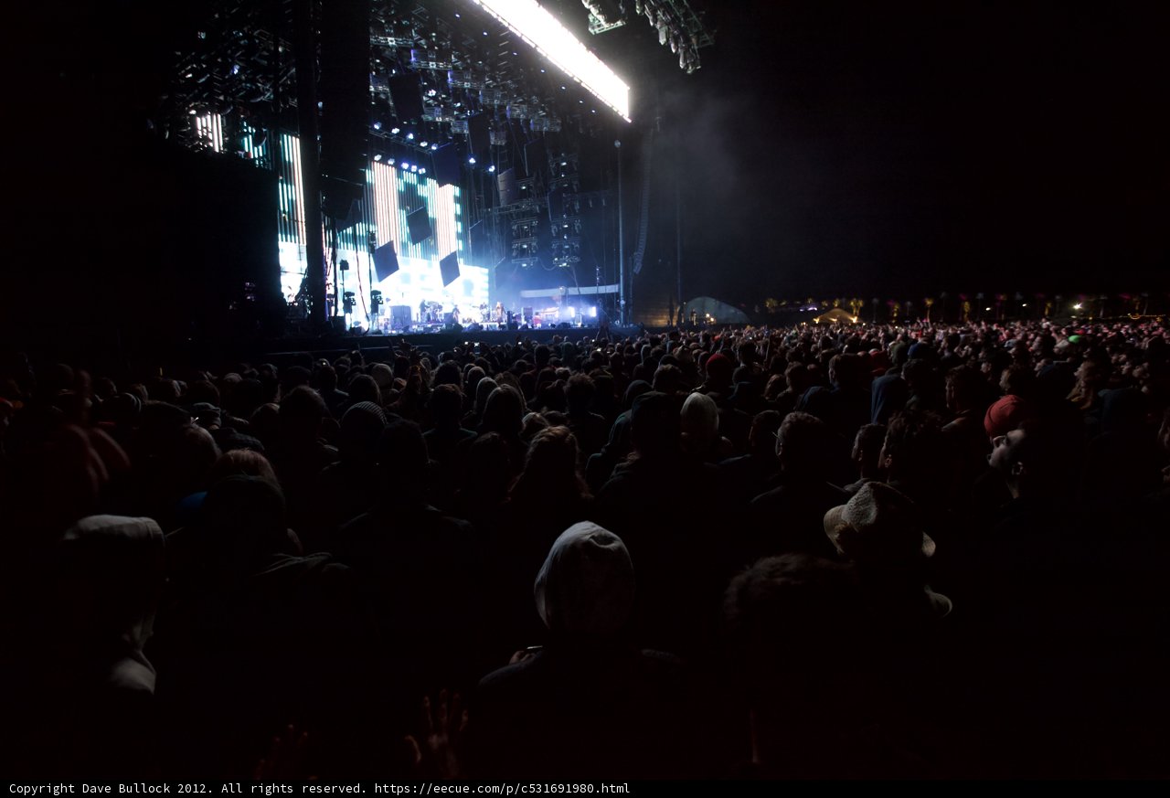 Nighttime Concert Crowd