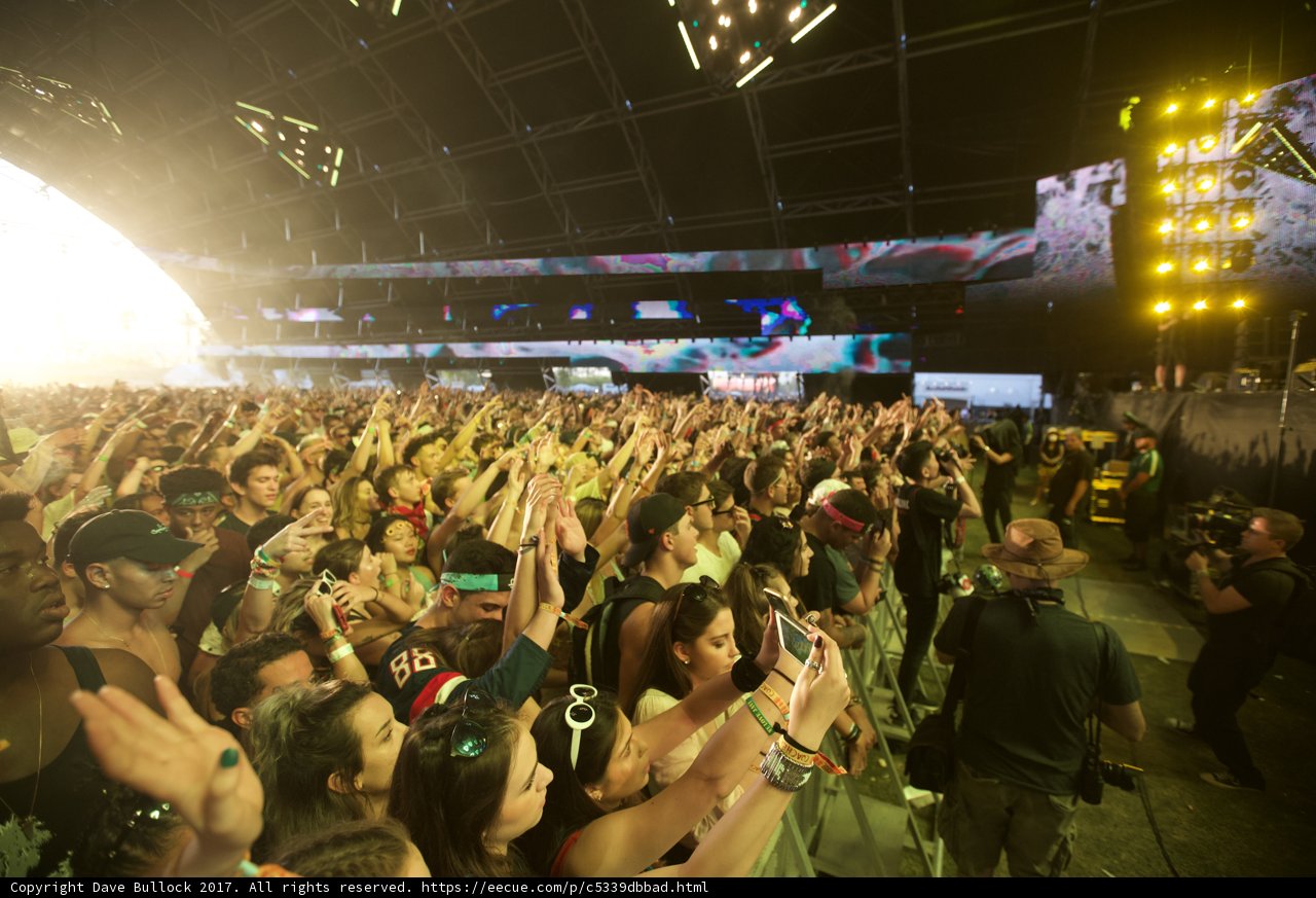 Coachella Crowd Goes Wild