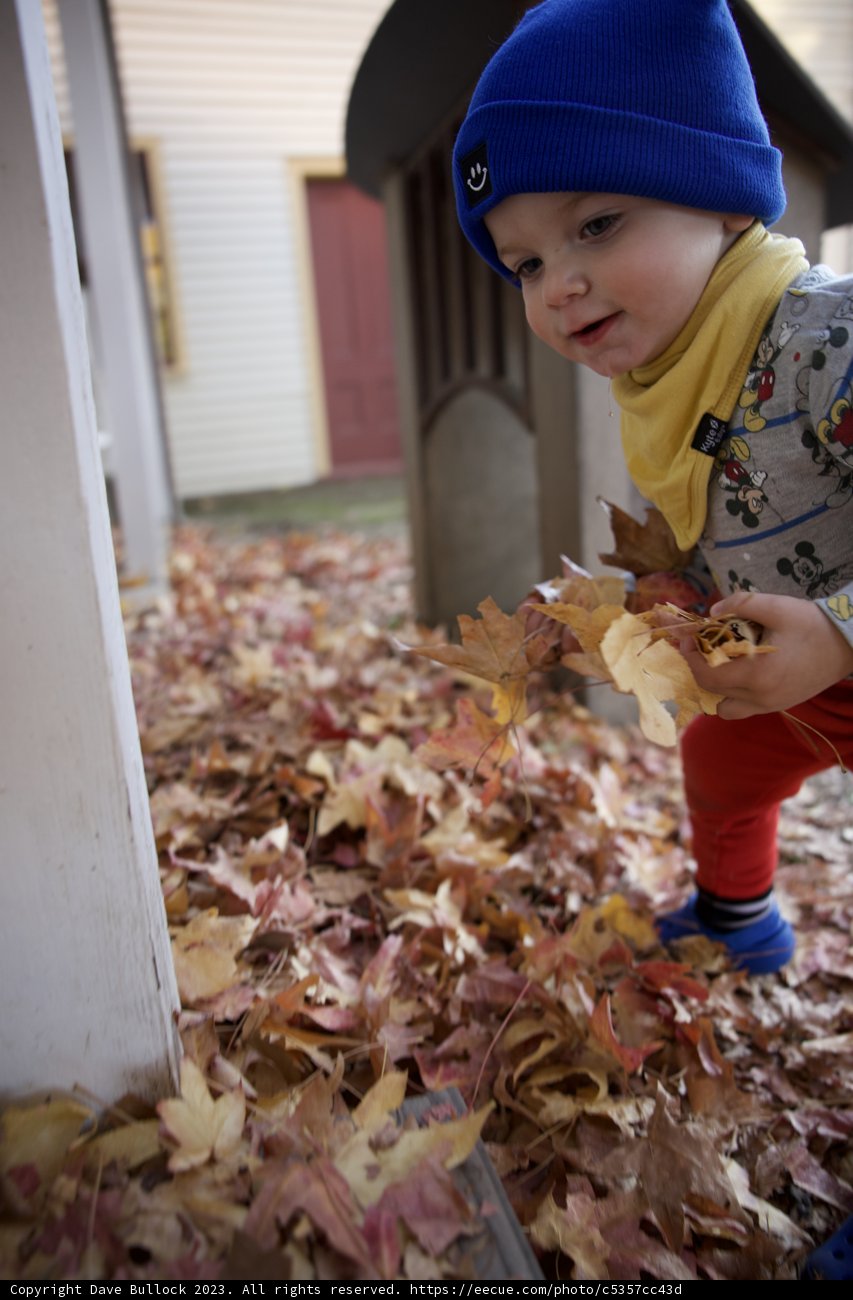 Wesley's Autumn Adventure in Downtown Sonoma