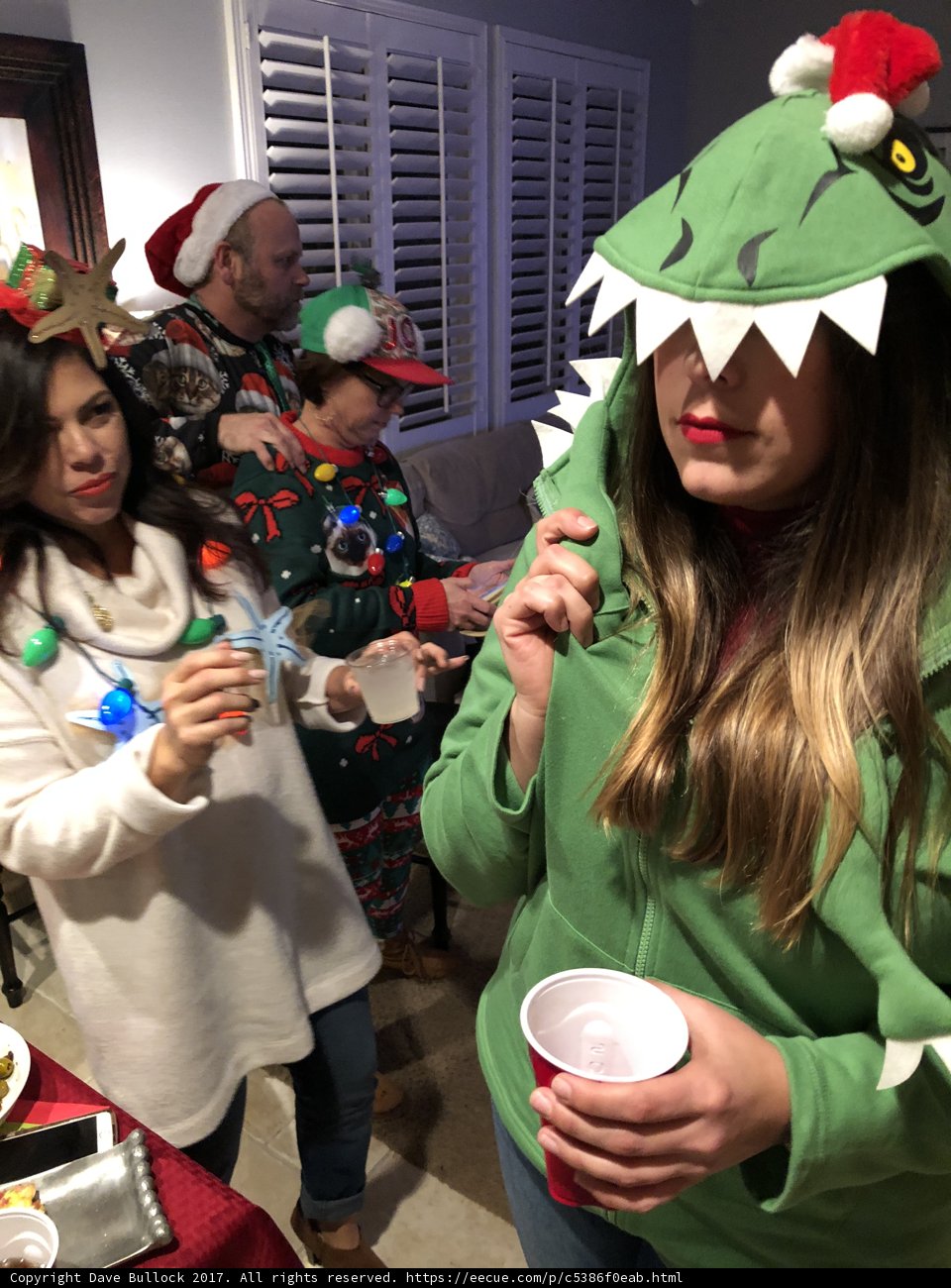 Dinosaur Fun