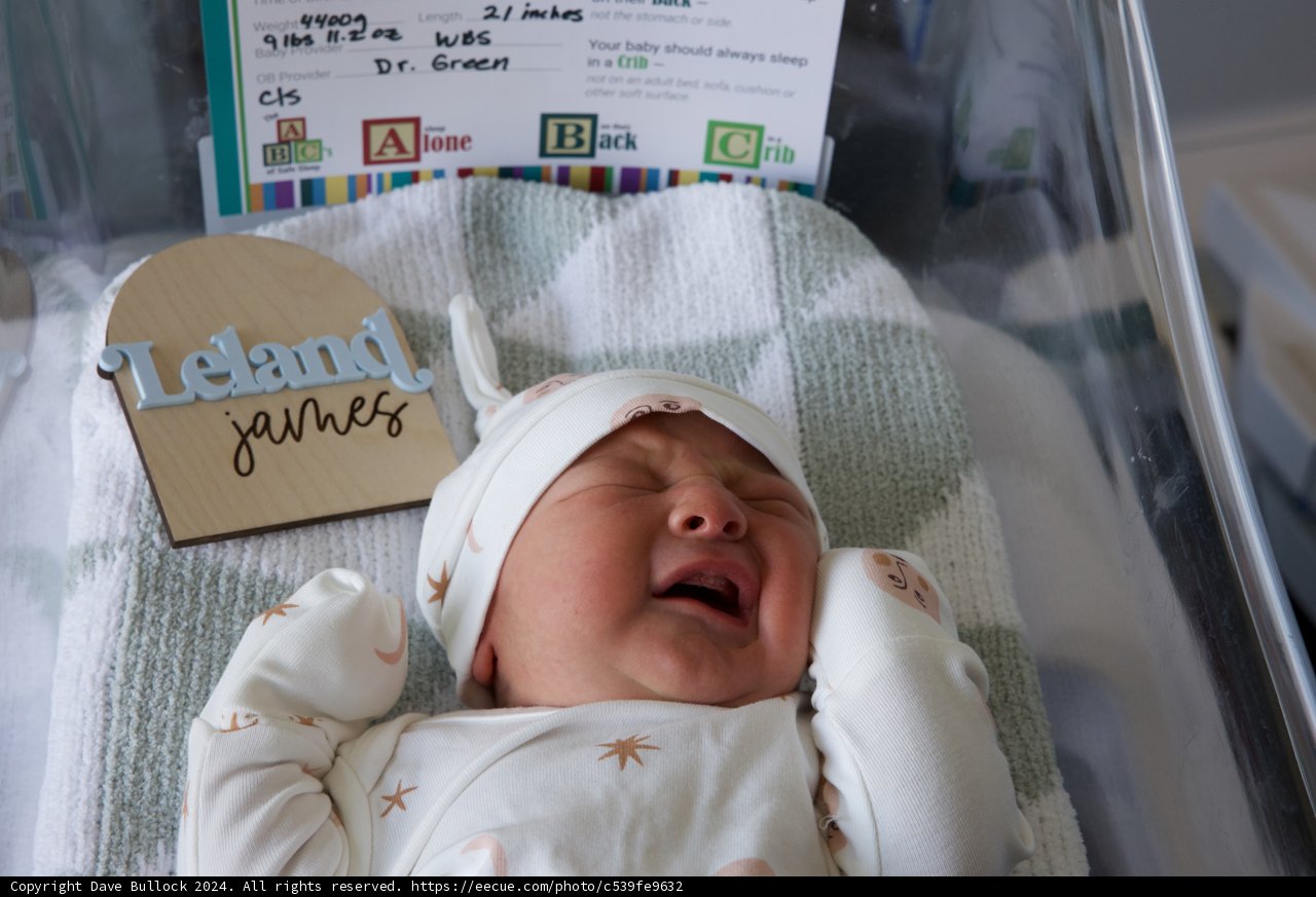 Welcome to the World, Leland James