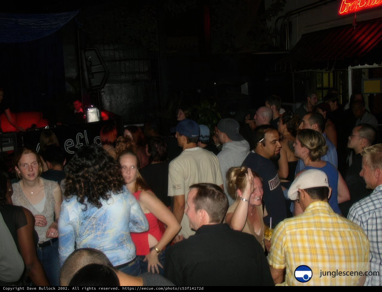 Nightlife Vibes at the Club