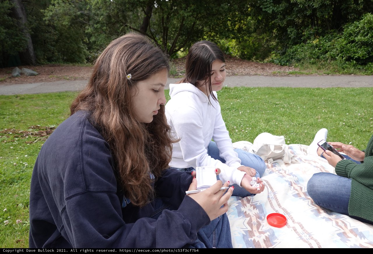 Friends Enjoying Outdoor Picnic in Park
