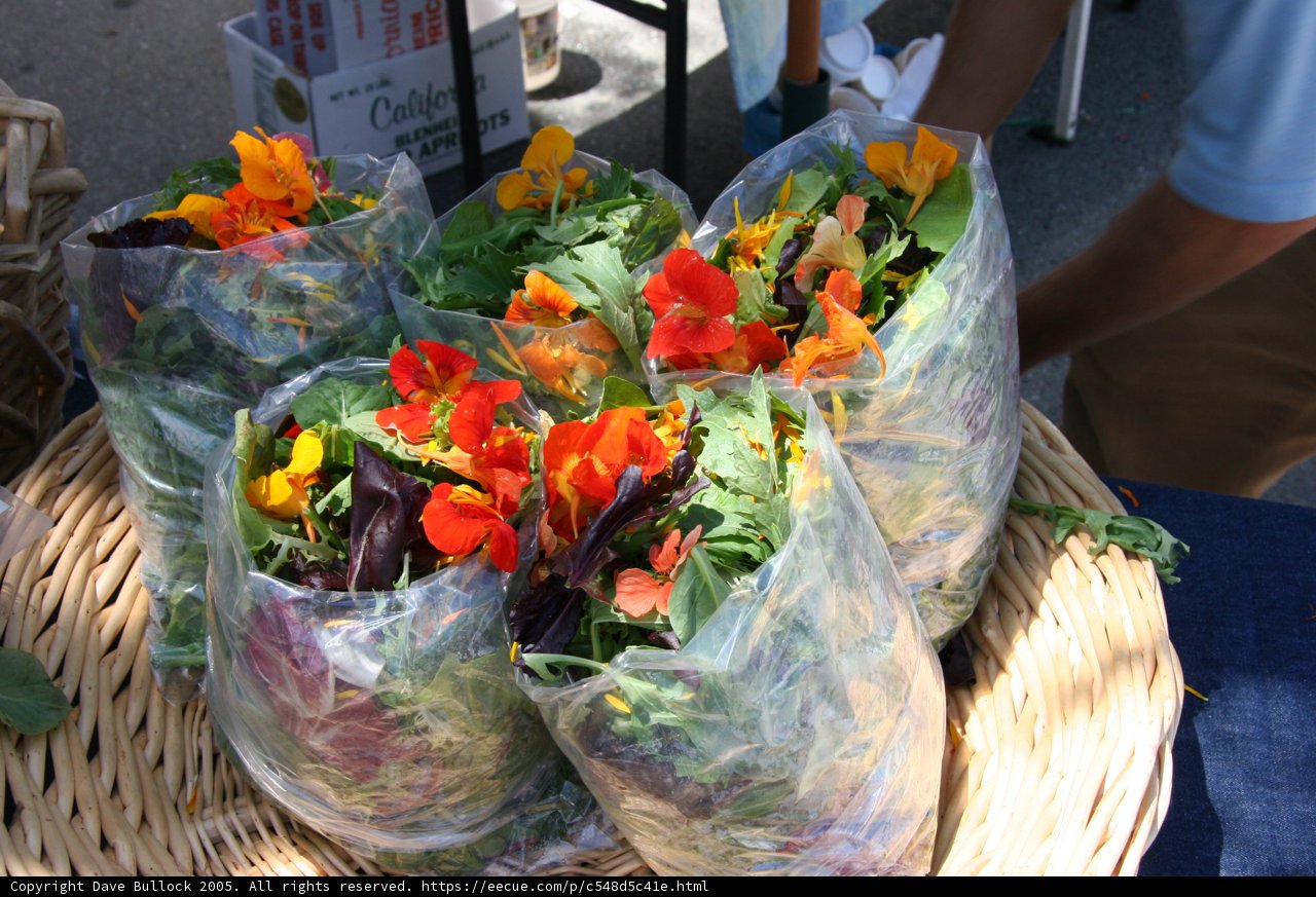 A Bountiful Basket of Blooms