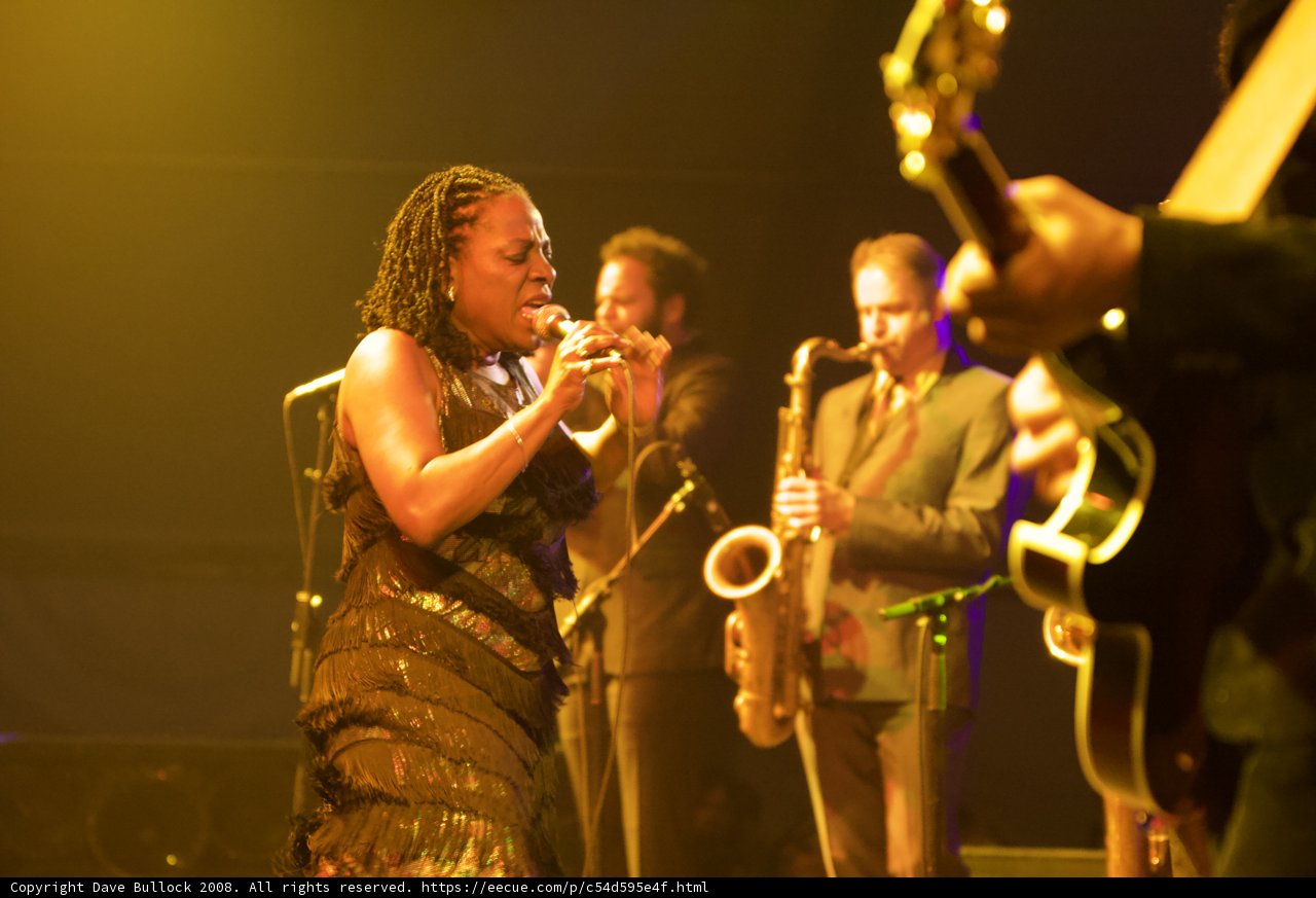 Coachella Concert: Woman in Dress Rocks the Stage with Band