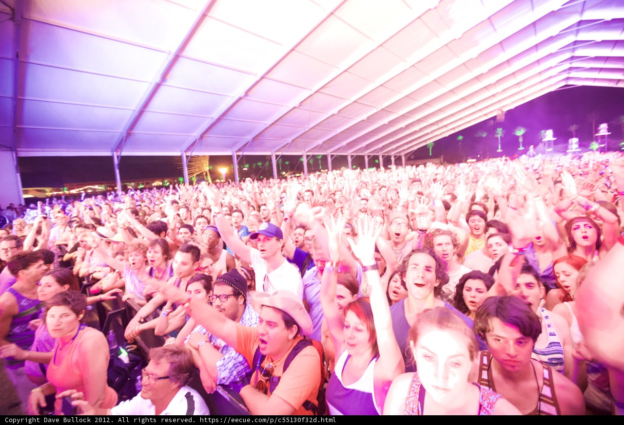 Coachella Crowd Goes Wild