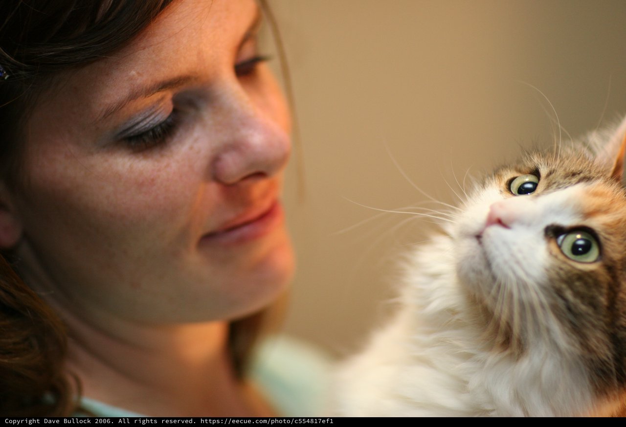 Woman and Calico Cat Share a Tender Moment
