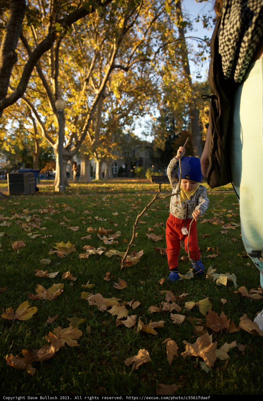 Wesley's Foliage Frolic: A Frisbee Afternoon