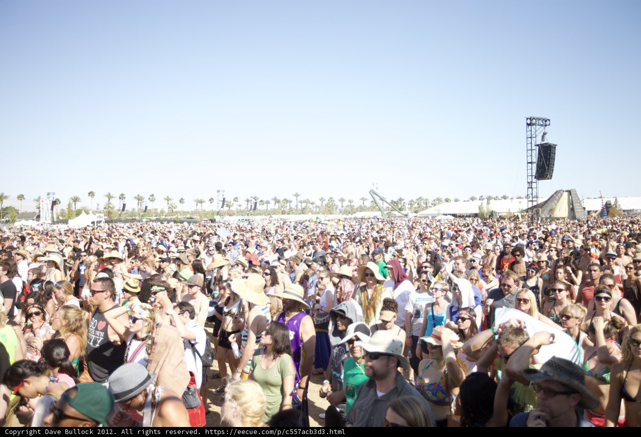 Music Festival Madness