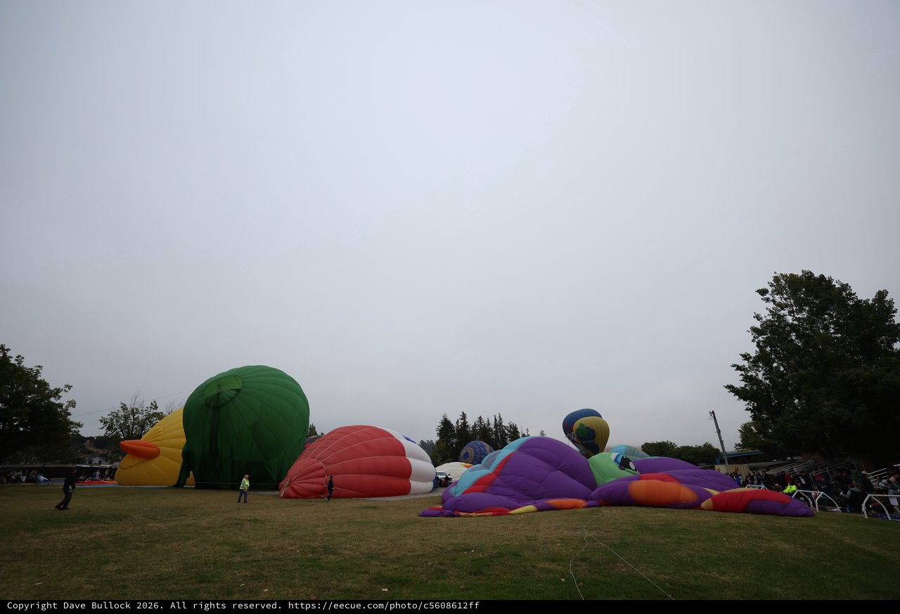 Hot Air Balloons Inflating at Dawn Balloon Festival