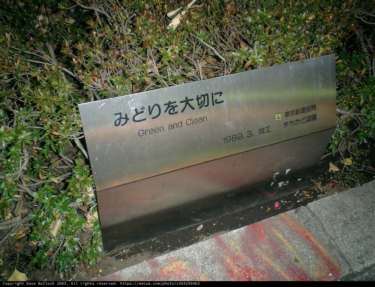 Green Tea Sign in Japanese