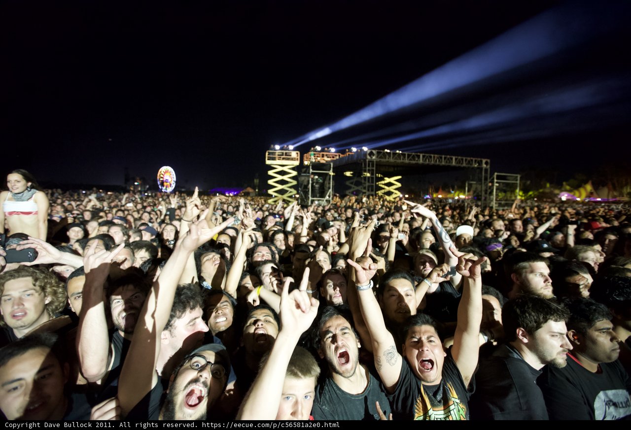Rocking Under the Night Sky