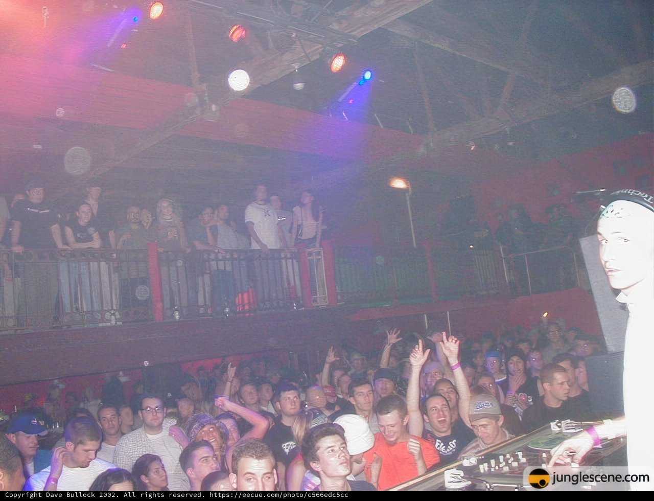 Nightclub Performance