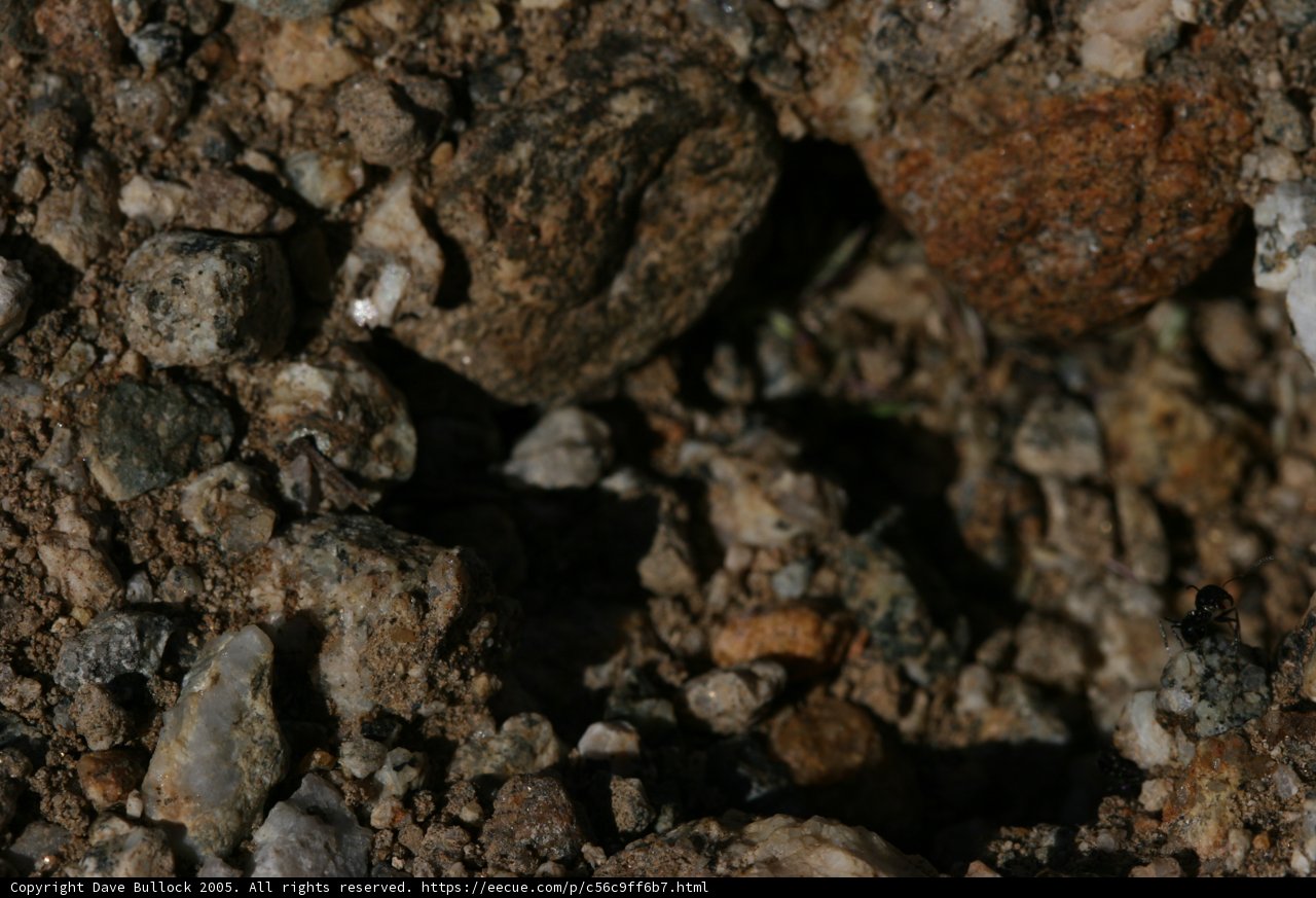 Rocky Road