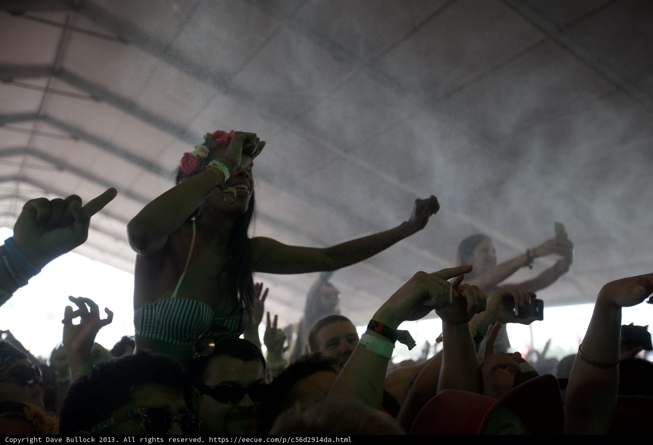 Hands Up in the Crowd