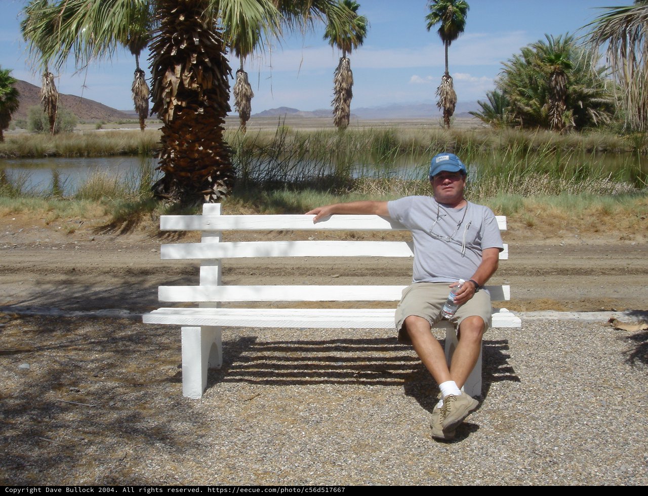 Desert Oasis Rest Stop with Palm Trees