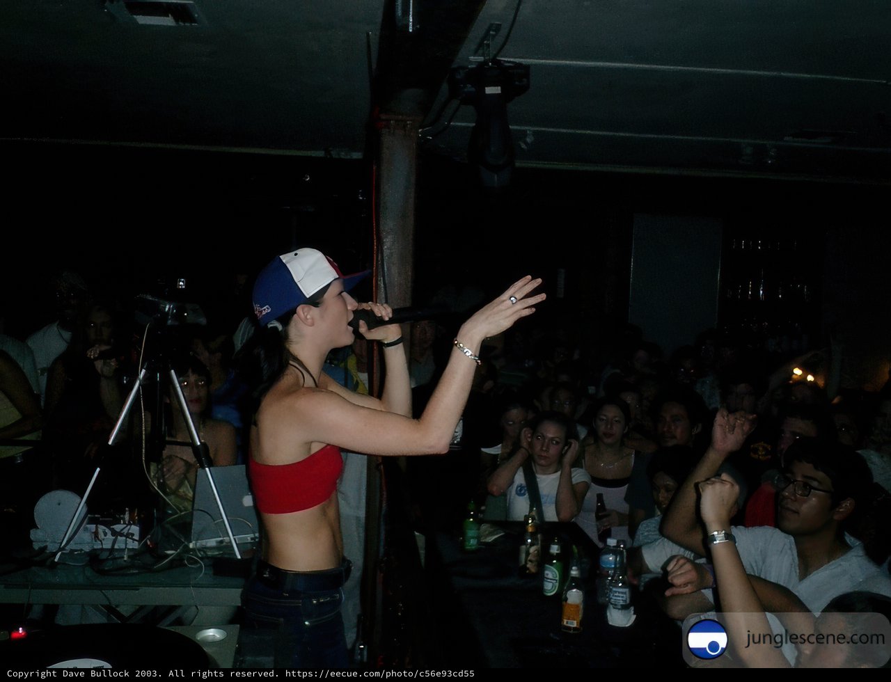 A Nightclub Performance