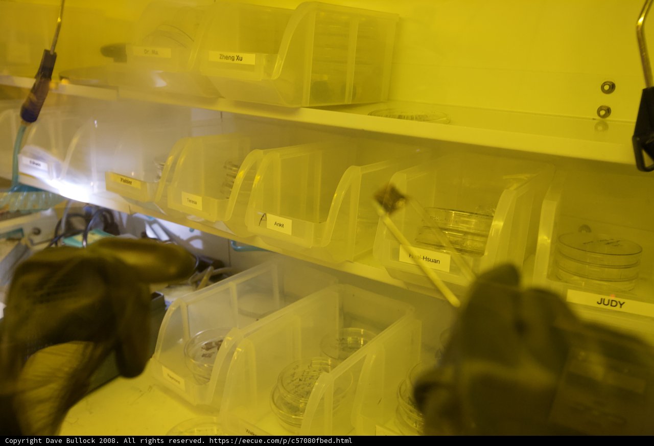 Lab Experimentations