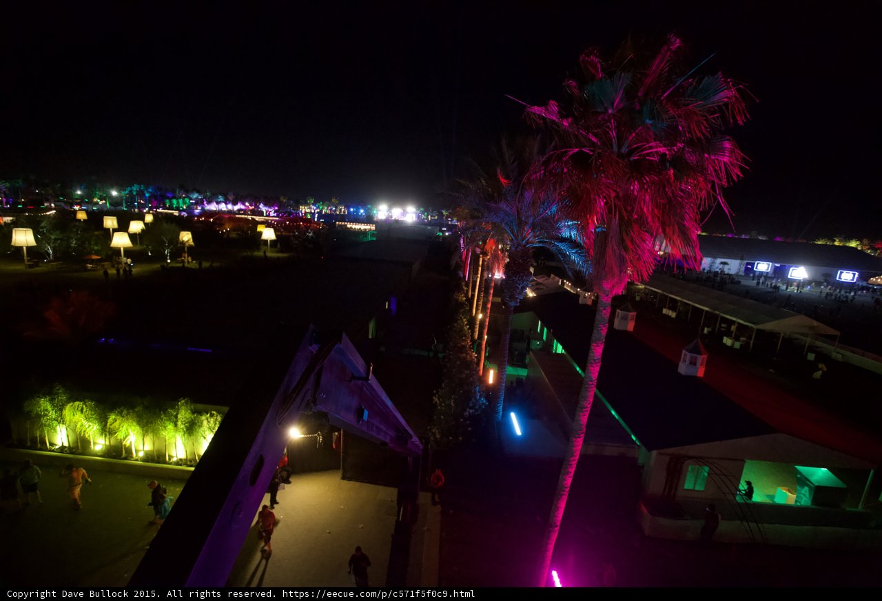 Palm Trees and Laser Lights