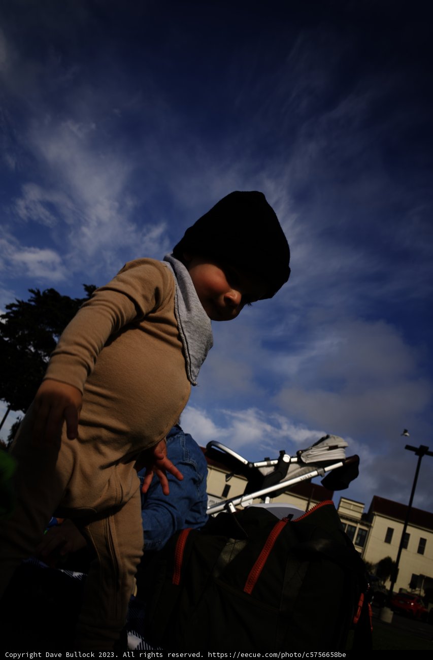 Cherished Moments in Presidio Park, 2023