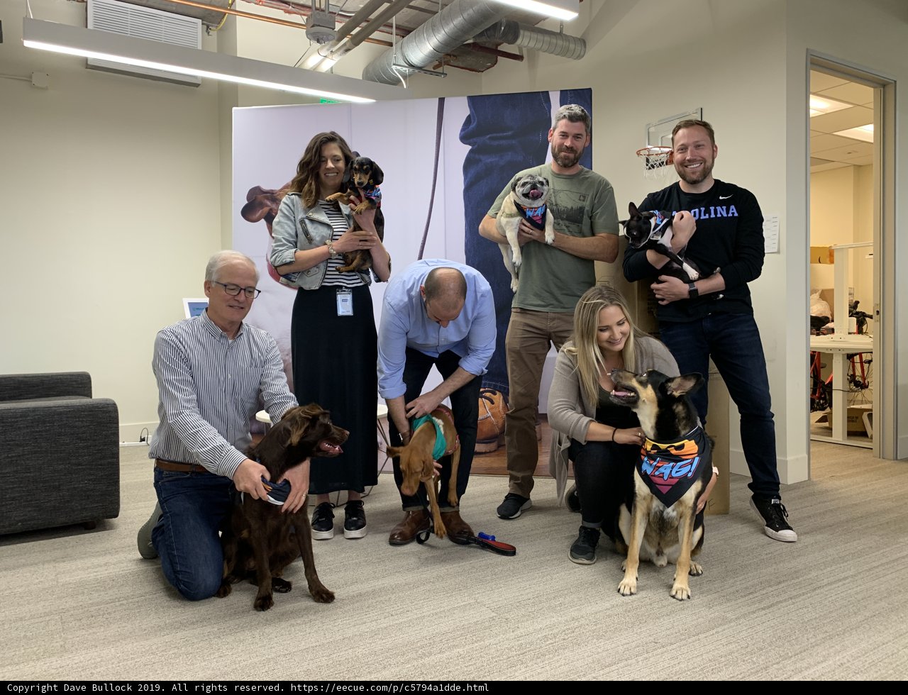 A Gathering of Pups and their People