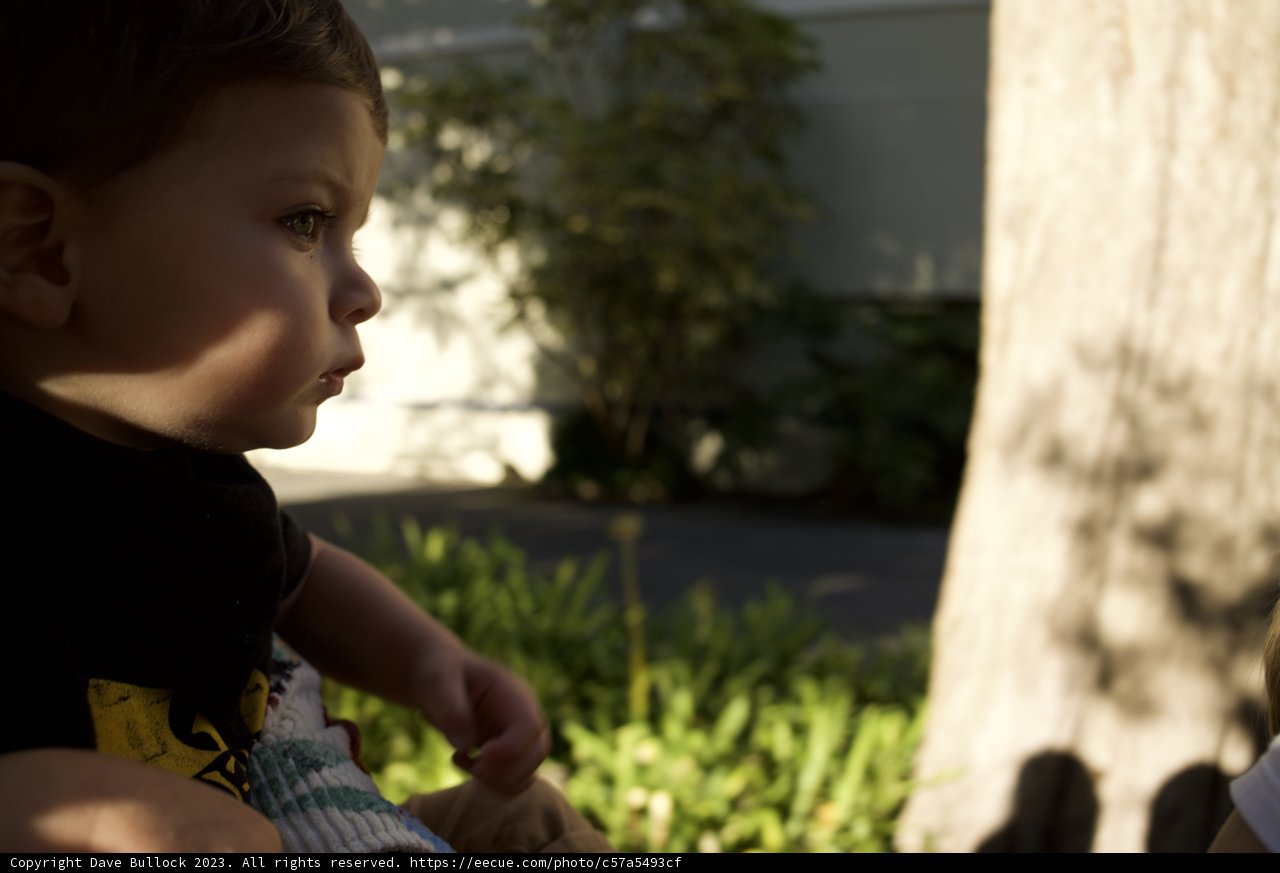 Day at the SF Zoo, November 2023