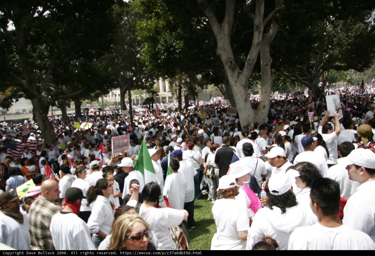 The White Hat Brigade