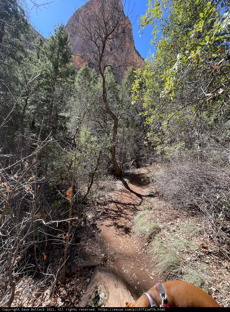 Horseback Riding Adventure in Coconino National Forest