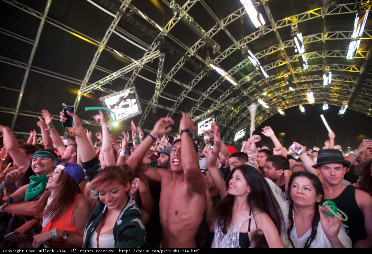 The Electric Crowd at Coachella