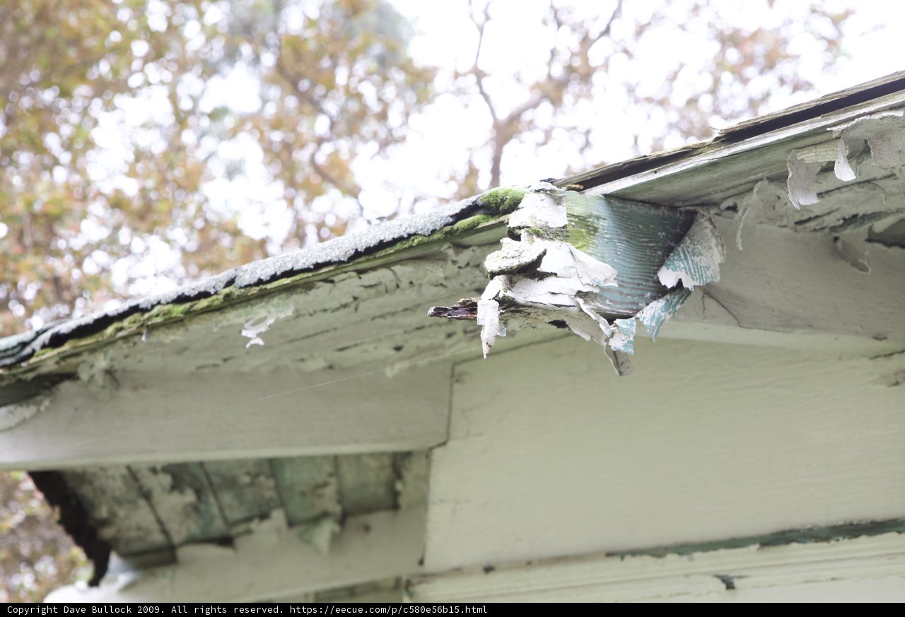 Weather-Worn Birdhouse Home