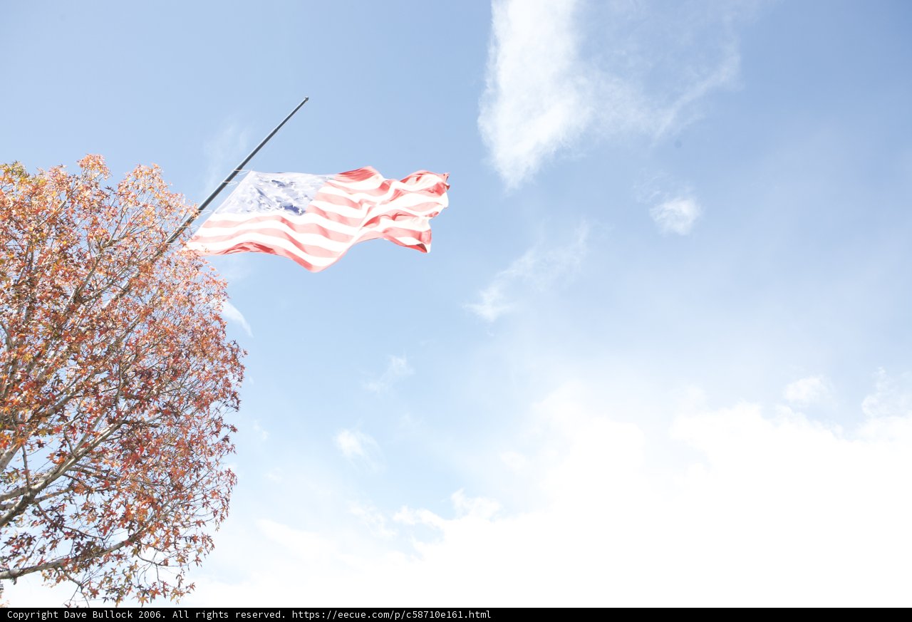 Flying High