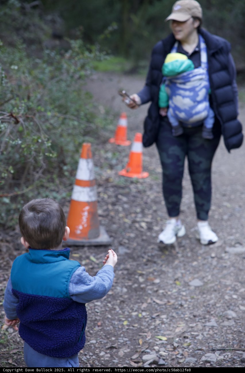 A Stroll on Huckleberry Trail