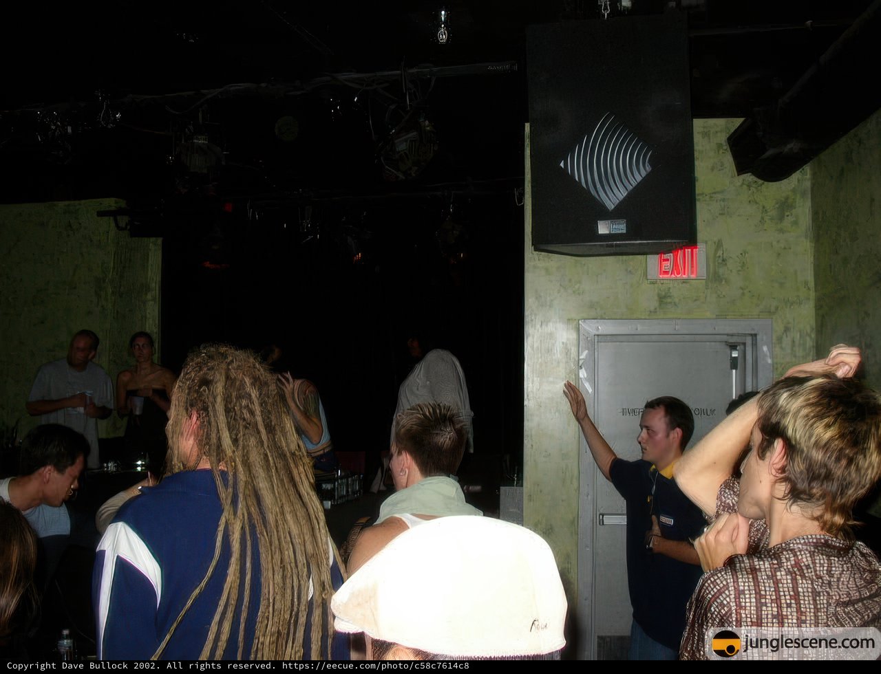 Nightclub Gathering