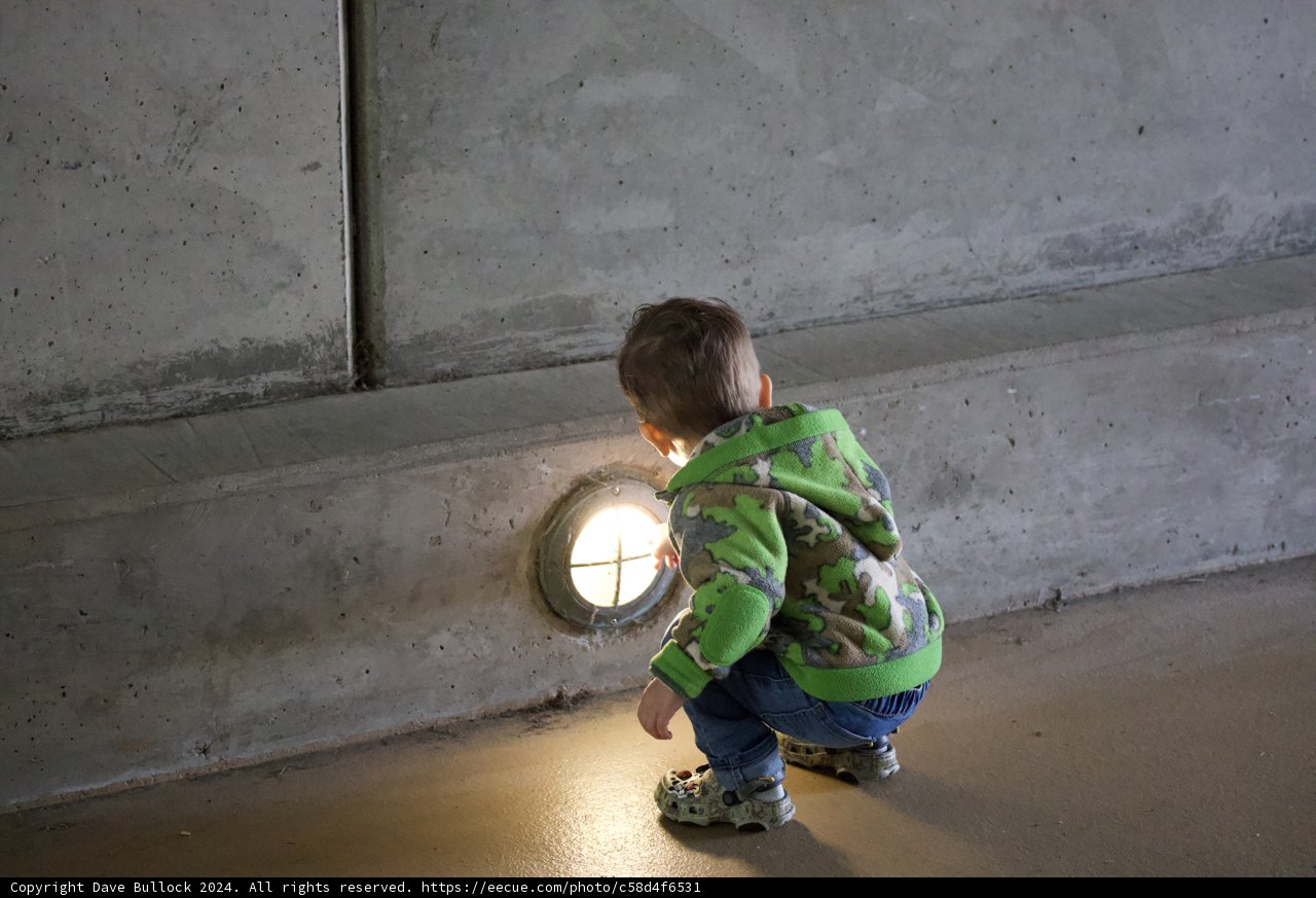 Illumination and Curiosity - SF Zoo, Spring 2024