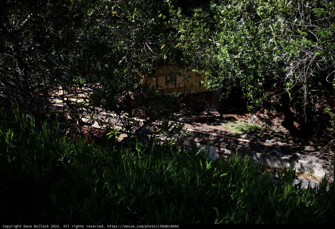 Serenity at Tilden Park