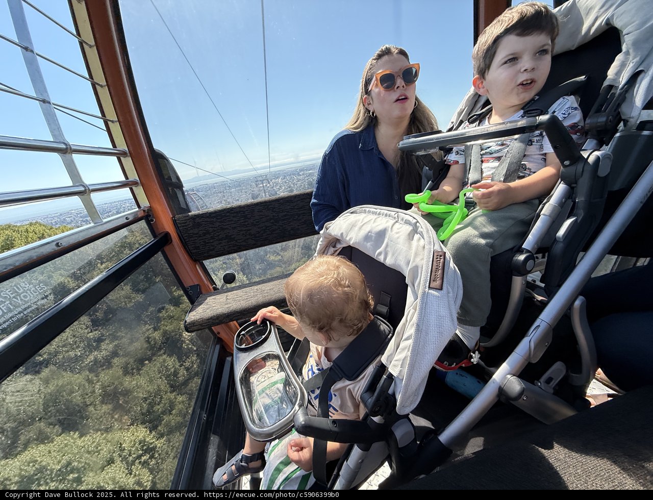 High Above the Trees