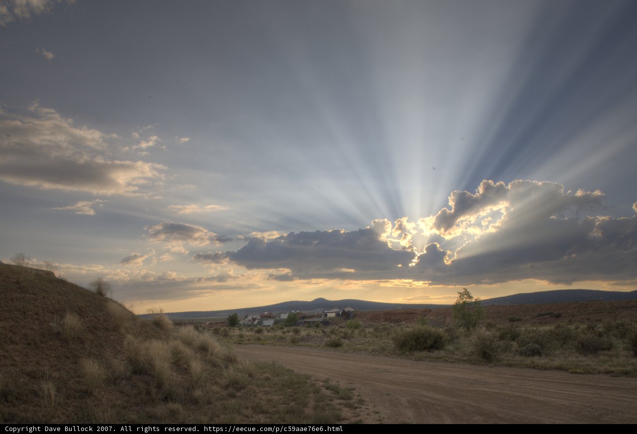 Golden Sunbeams Illuminate the Country Road
