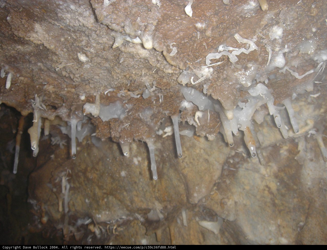 Icy Cave Delight
