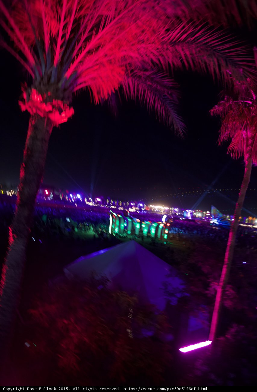 Purple Palm Tree Illumination