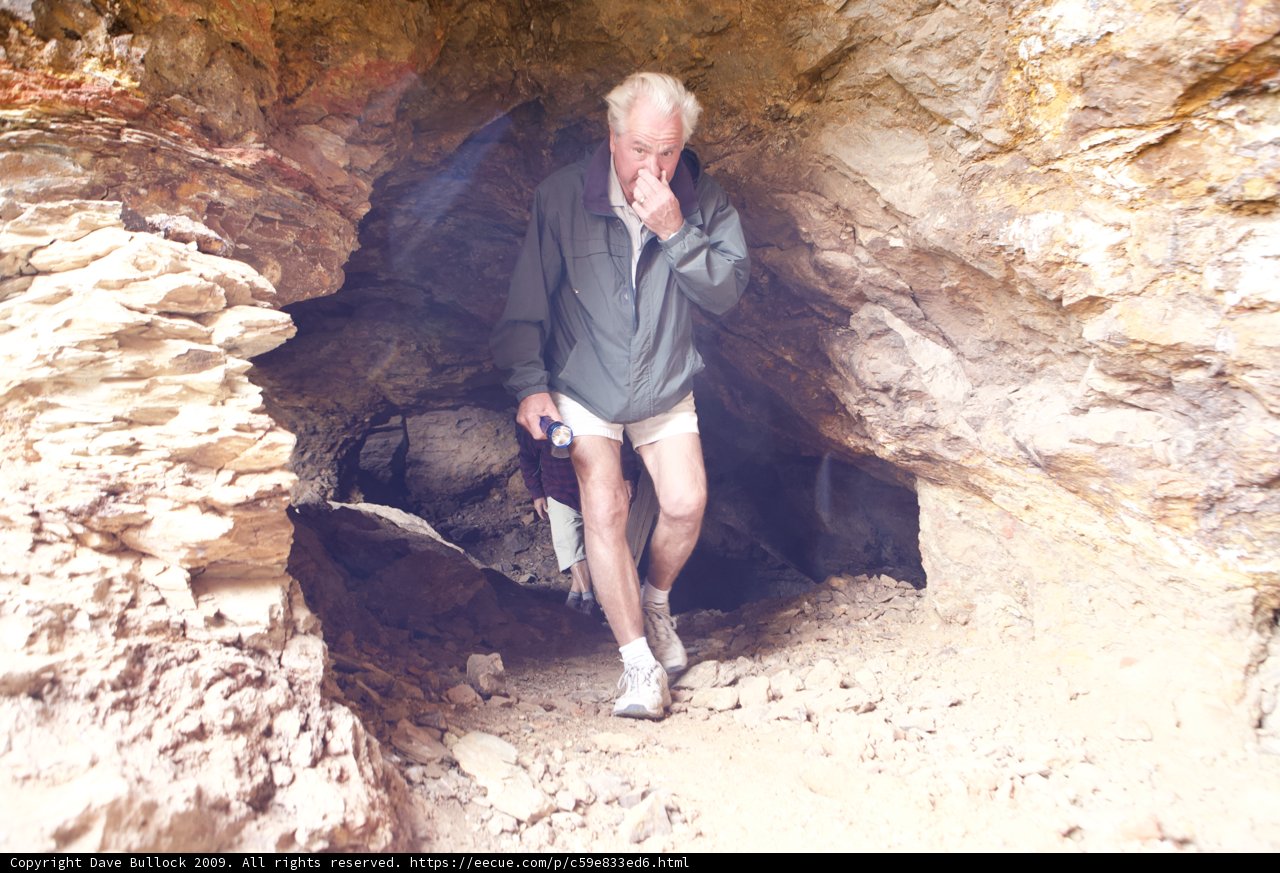Exploring the Depths of Nature