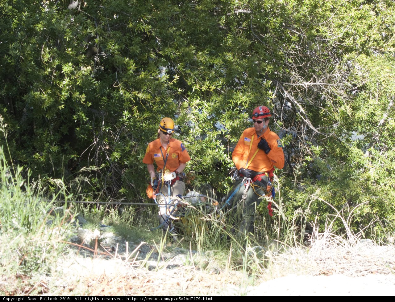 Two Men Cycling Through the Forest