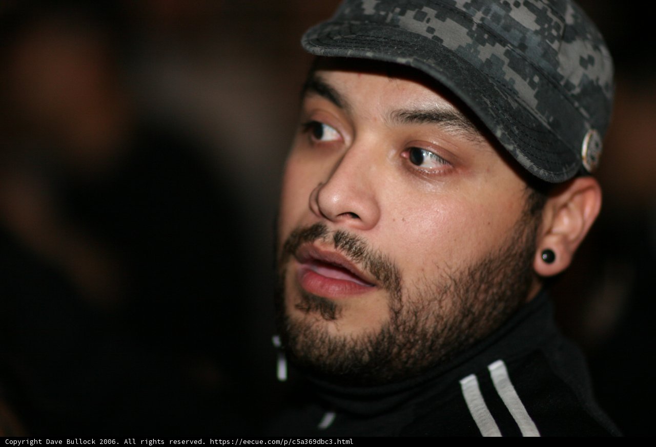 The Bearded Man in the Baseball Cap